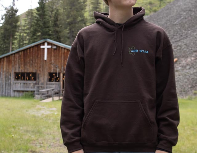 Blue Logo Job 37:14 Verse Hoodie