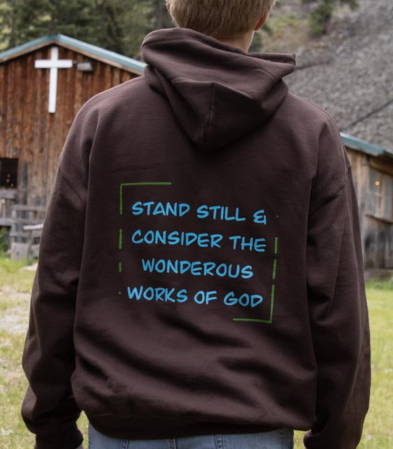 Blue Logo Job 37:14 Verse Hoodie