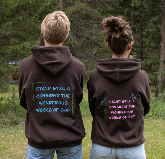 Blue Logo Job 37:14 Verse Hoodie