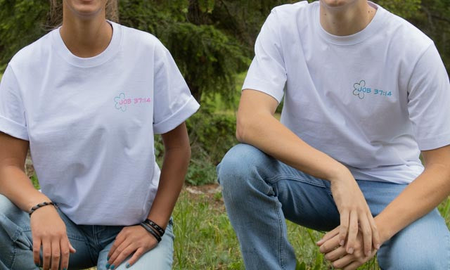Blue Logo Job 37:14 Verse Tee