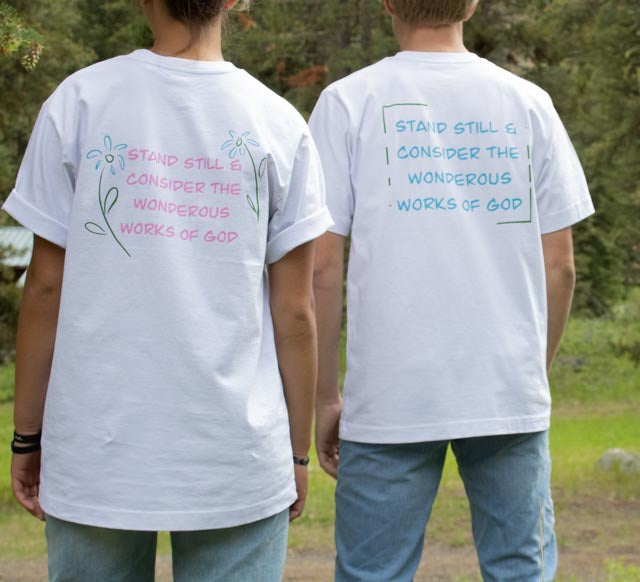 Blue Logo Job 37:14 Verse Tee