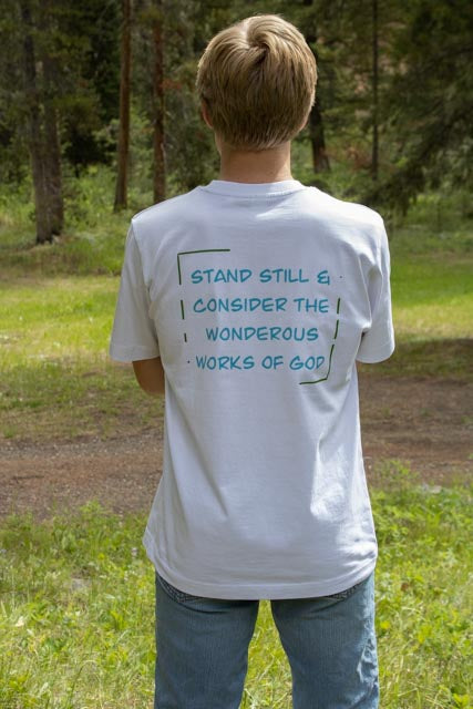 Blue Logo Job 37:14 Verse Tee